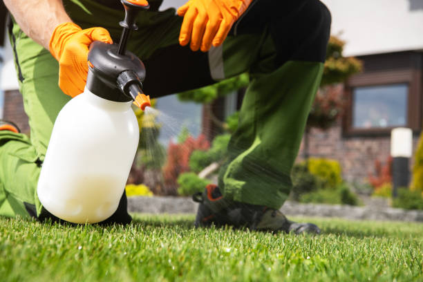 Best Seasonal Pest Control  in Omak, WA